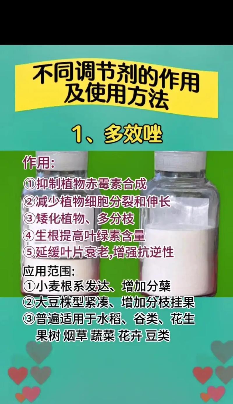 《游戏中堆叠修仙葬沙骨的合成方法与作用介绍》（探究修仙游戏中葬沙骨的合成方式和神奇效果）