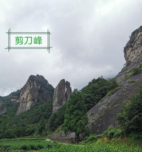 飞天鳄鱼出装攻略（探索最新飞天鳄鱼出装，让你成为王者荣耀中的无敌战士）