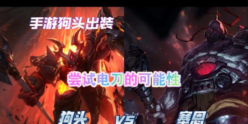 狗头出装技能加点攻略视频解析（以狗头为主角，掌握出装技能加点的窍门）