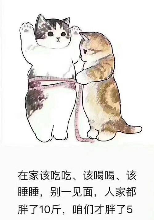 《探索沙雕快乐源泉游戏的攻略》（揭开游戏中的秘密和技巧，让你快乐无比）