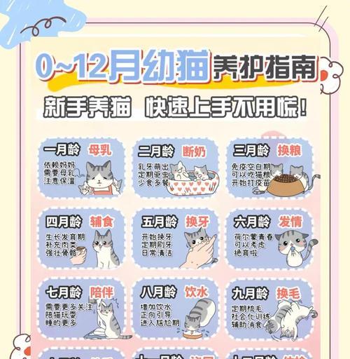 《小猫养成日本游戏攻略（探秘《小猫养成》游戏的玩法与技巧，助你成为顶级宠物主人！）
