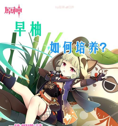 猪肉攻略，解锁料理技能，掌握绝佳美食资源（猪肉攻略，解锁料理技能，掌握绝佳美食资源）