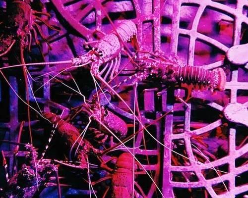 《失落的迪拜》游戏攻略（游戏攻略详解，带你解开失落迪拜的谜团）